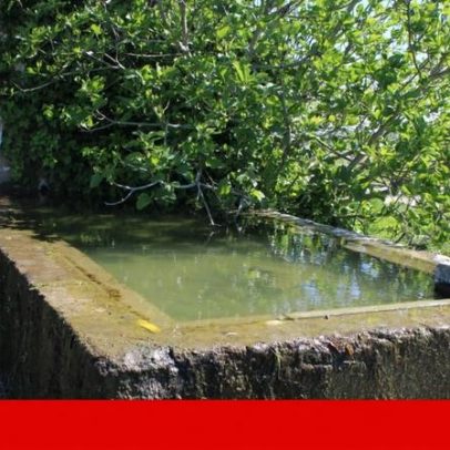 Câmara de Beja aprova casas em leito de cheia; moradores devem retirar água das ruas