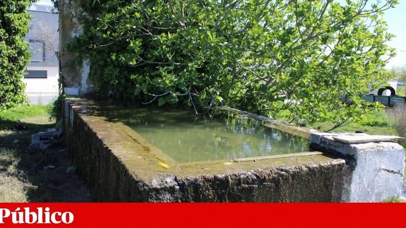 Câmara de Beja aprova casas em leito de cheia; moradores devem retirar água das ruas