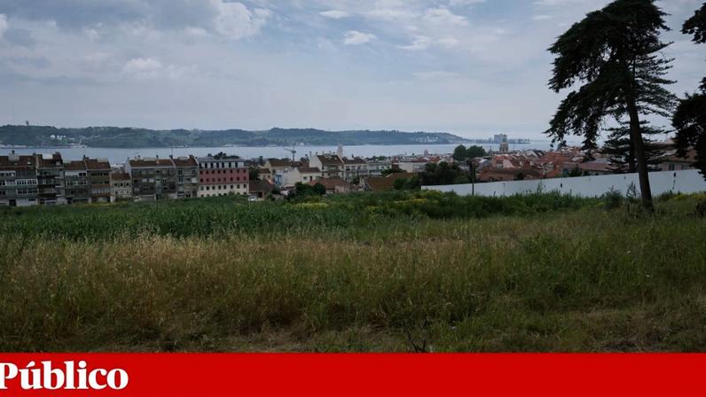 A Câmara de Lisboa diz que o trabalho de planeamento e a vertente operacional estavam a sobrepor-se