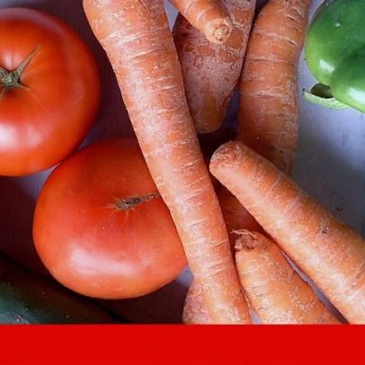 Cinco décadas de estudo da nutrição em Portugal