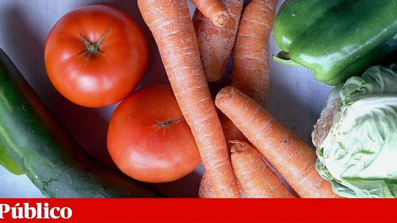 A 31 de Maio de 1976, nasceu no Porto o curso de Nutricionismo, o primeiro a nível nacional