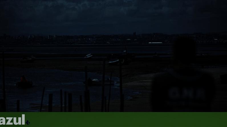 Governo alterou as regras para combater a captura ilegal de amêijoa-japonesa no rio Tejo