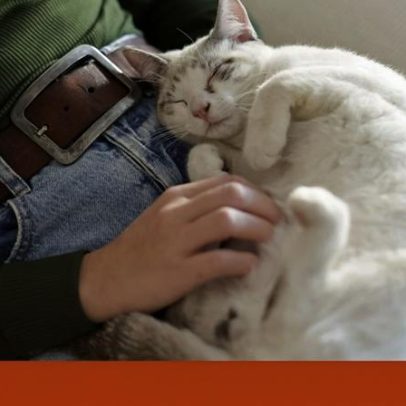 Falar com as plantas e dormir com o gato analisa impactos