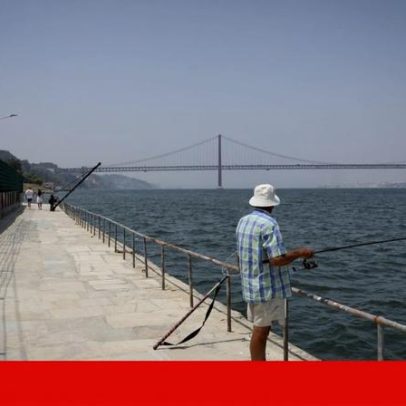 Movimento exige respostas sobre projecto no Cais do Ginjal, que será alterado