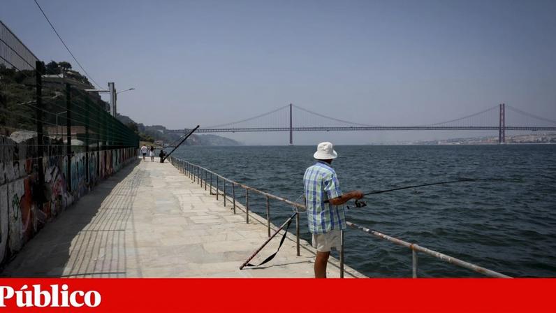 Movimento exige respostas sobre projecto no Cais do Ginjal, que será alterado