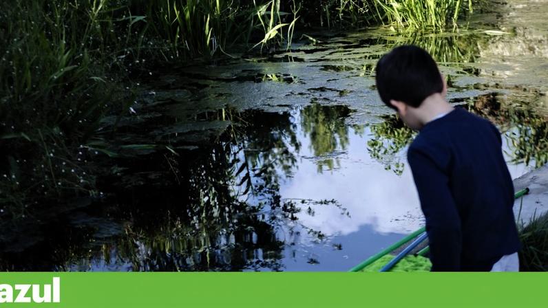 Plano de Restauro da Natureza prevê 500 milhões por ano até 2030