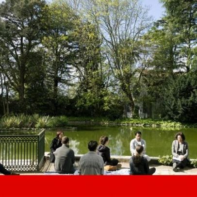 Universidade do Porto testa médicos que prescrevem atividades culturais