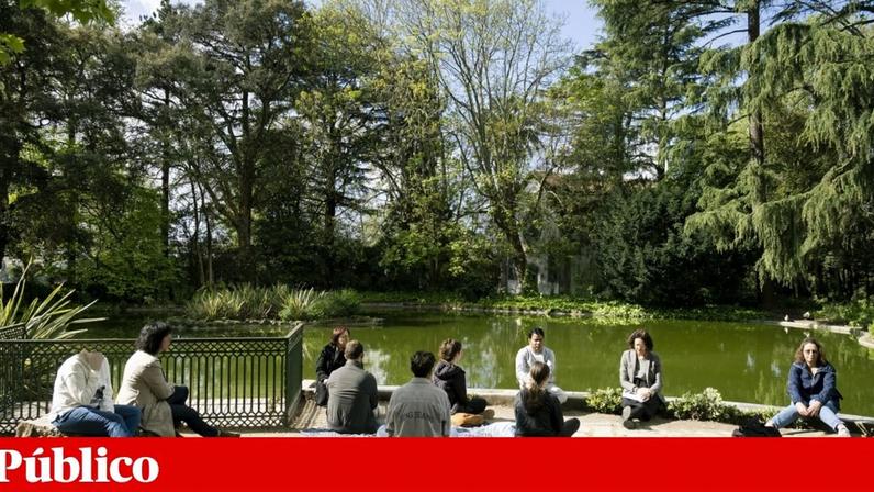 Universidade do Porto testa médicos que prescrevem atividades culturais
