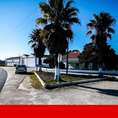 Providência cautelar impede demolição de casas de funcionários Pinheiro da Cruz