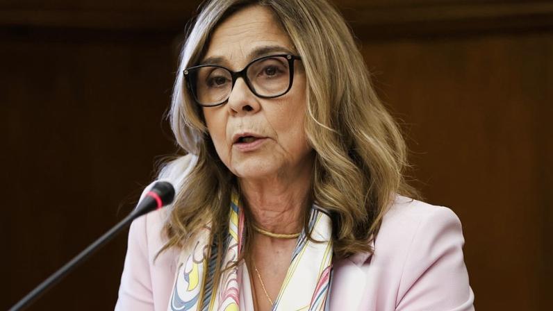 A ministra da Saúde, Ana Paula Martins, está a ser ouvida nesta quarta-feira na Comissão Parlamentar de Saúde