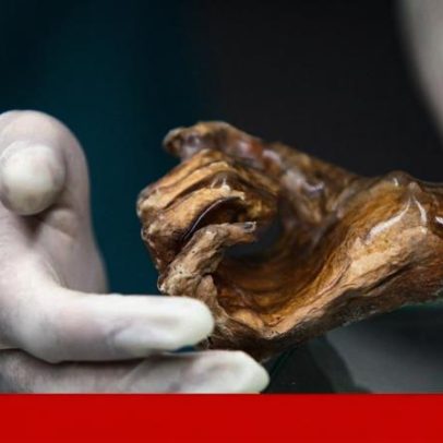 Micróbios de Ötzi, o Homem do Gelo, voltam à vida