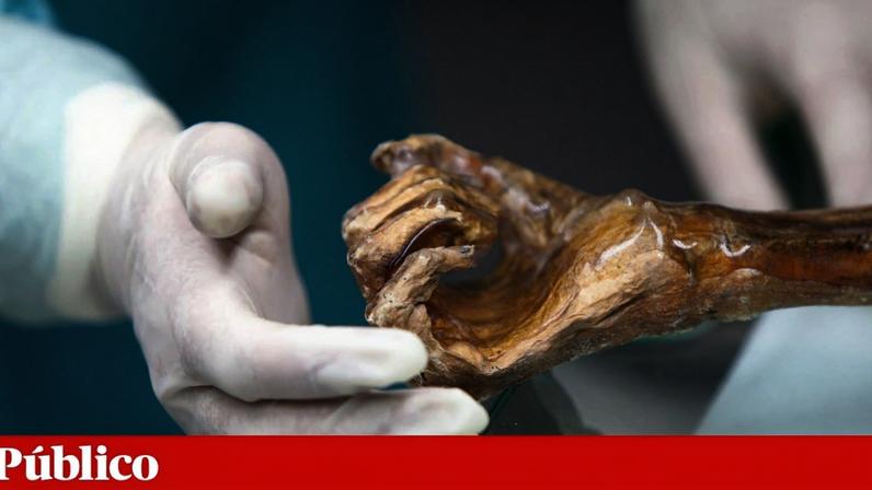 Micróbios de Ötzi, o Homem do Gelo, voltam à vida
