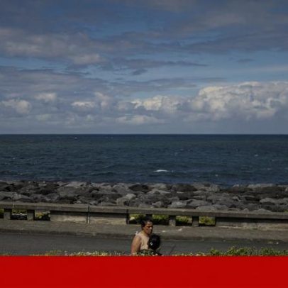 Morte de tubarão nos Açores está a ser averiguada