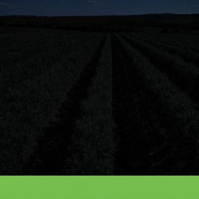 Uso do solo compromete objetivos de desenvolvimento sustentável na Europa