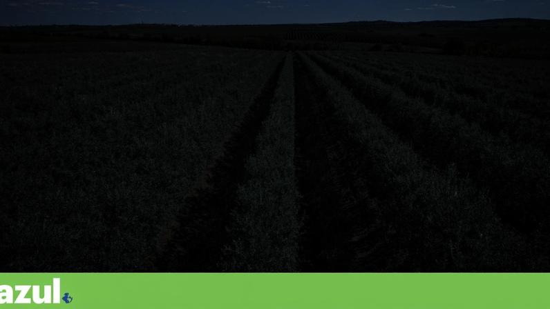 Uso do solo compromete objetivos de desenvolvimento sustentável na Europa