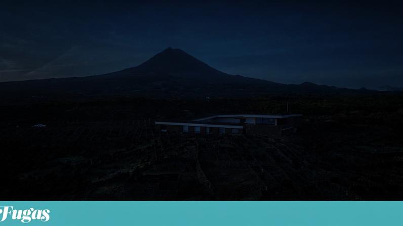 Pico lidera o melhor enoturismo de Portugal