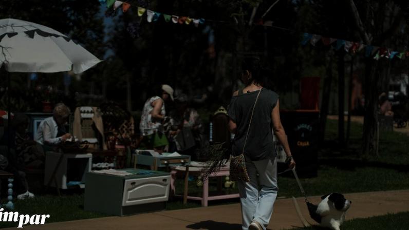 Da rádio Faneca à banda desenhada: dez ideias para entreter a família