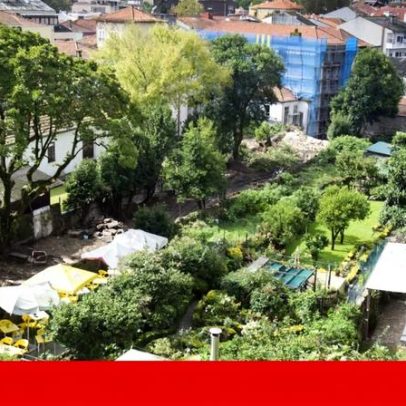 Porto promete rever PDM para conter arboricídio nos logradouros