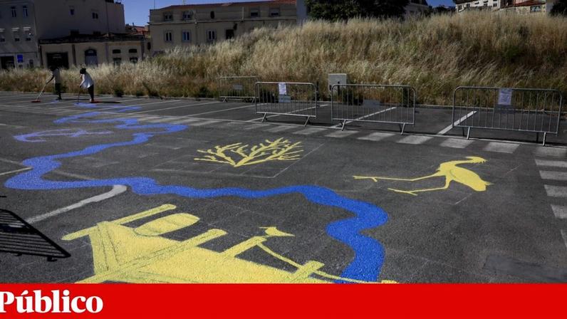 Trabalho de Vasco Maio com base numa investigação liderada por Ana Maria Costa,