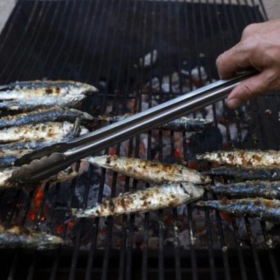 Verão de sardinhas e feiras: celebrações junto ao rio e ao mar