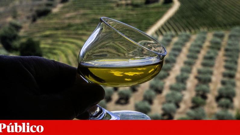 Portugal é o 3º maior exportador de azeite da União Europeia