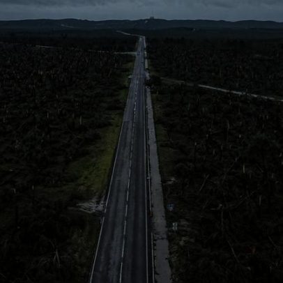 Estado foca limpeza de 19% da floresta atingida pelas tempestades na zona centro