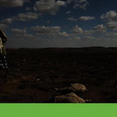 El Niño já confirmado no Pacífico pela agência norte-americana