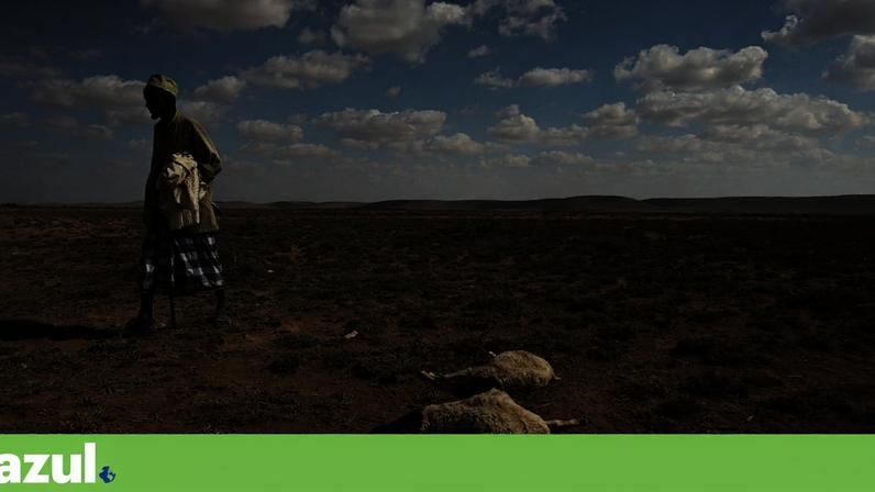 El Niño já confirmado no Pacífico pela agência norte-americana