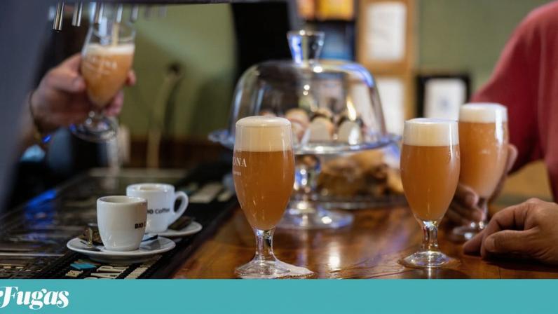 Cervejeiras nacionais geram 7,3 mil milhões de euros, diz estudo
