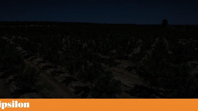 A plantação da Nogam na Herdade das Atafonas, situada na freguesia de Torre de Coelheiros, concelho de Évora