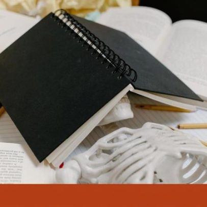 Professor que estuda procrastinação há 40 anos partilha aprendizados