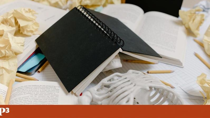 Professor que estuda procrastinação há 40 anos partilha aprendizados