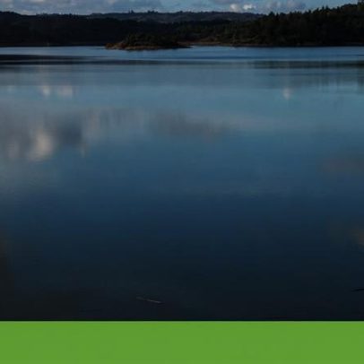 Municípios contestam mapa das renováveis com casos de florestas e património