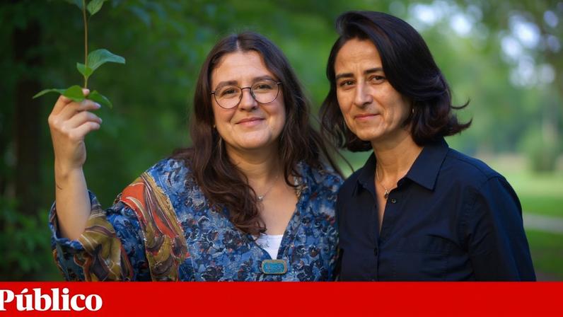 Moradores de Santa Clara, Lisboa, decidem o que fazer na freguesia