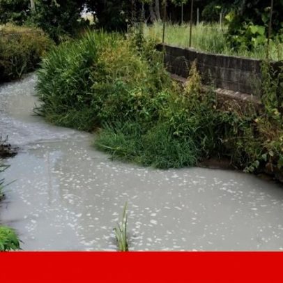 População denuncia poluição que transformou o Cobral num rio de leite