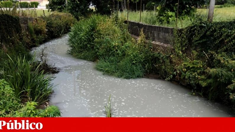 População denuncia poluição que transformou o Cobral num rio de leite