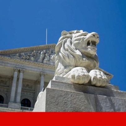 Identidade de género: AR abre audições públicas para ampliar o debate