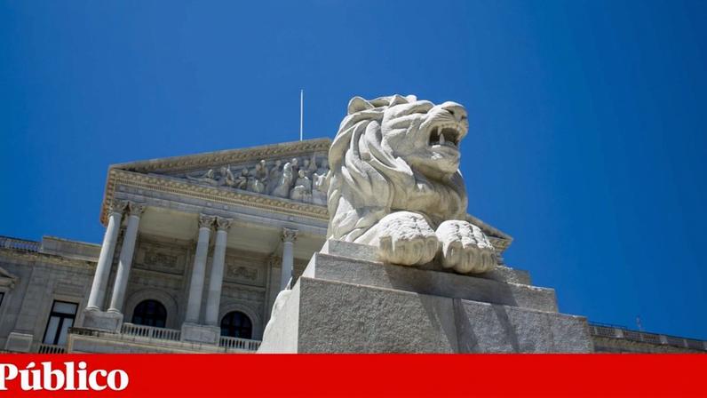 Identidade de género: AR abre audições públicas para ampliar o debate