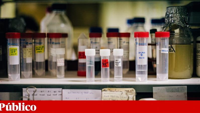 Oeiras recebe Science Comes to Town em 2027