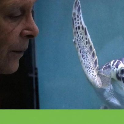 Mona Khalil, guardiã das tartarugas do Líbano, morta em ataque israelita