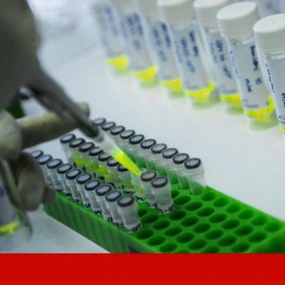Ciência portuguesa recebe cerca de 10 milhões de euros em bolsas europeias