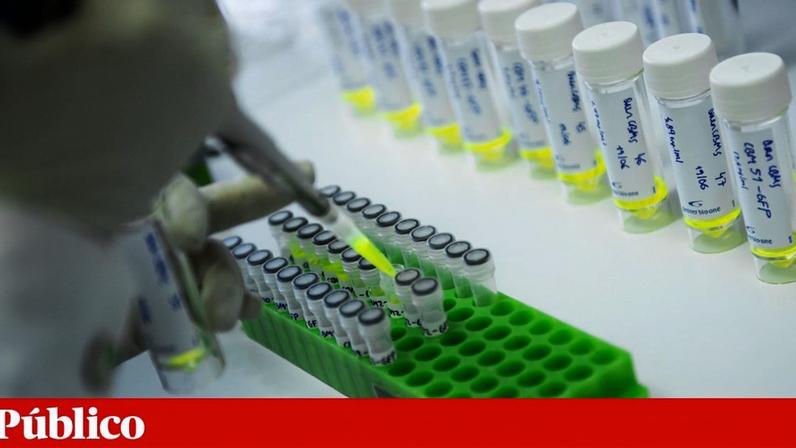 Nesta edição, foram apresentadas 3329 propostas a concurso