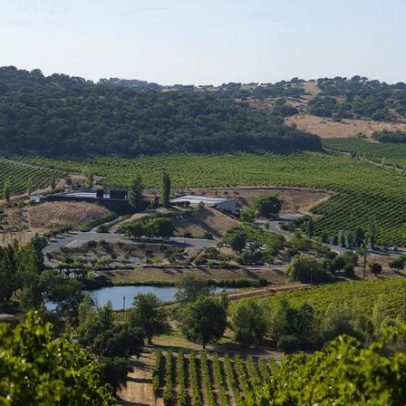 Baixo Alentejo: passeio da colmeia ao prato na Herdade do Rocim