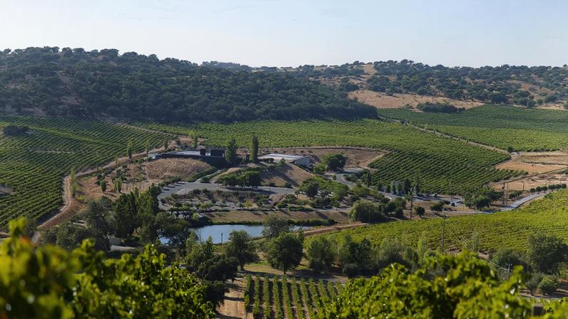Baixo Alentejo: passeio da colmeia ao prato na Herdade do Rocim