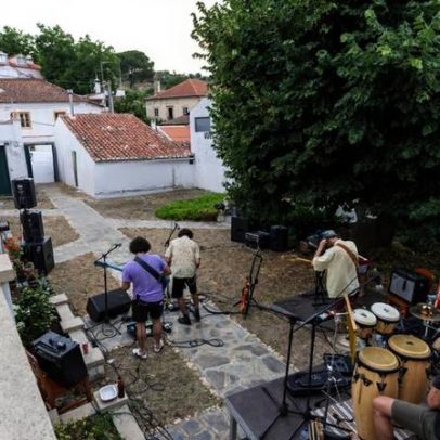 Cinco opções para celebrar o dia com cinema, música, leitura e gastronomia