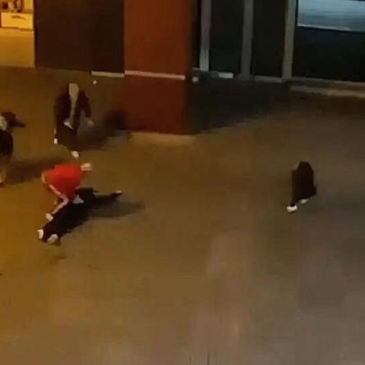 Homem é condenado a 18 anos por homicídio de mulher no Palácio do Gelo