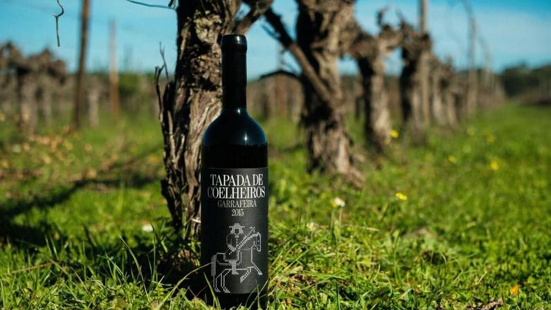 Encontro Vignerons de Portugal está de volta, com vinhos e cozinha alentejana