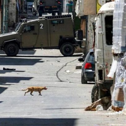 Palestina sofre com violência de Israel, Hamas e colonos