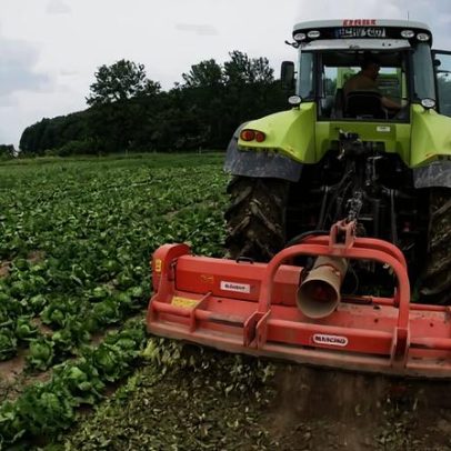OCDE e FAO Estimam Queda da Produção Agrícola neste ano e em 2027