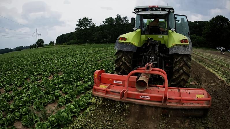 OCDE e FAO estimam queda da produção agrícola este ano e em 2027